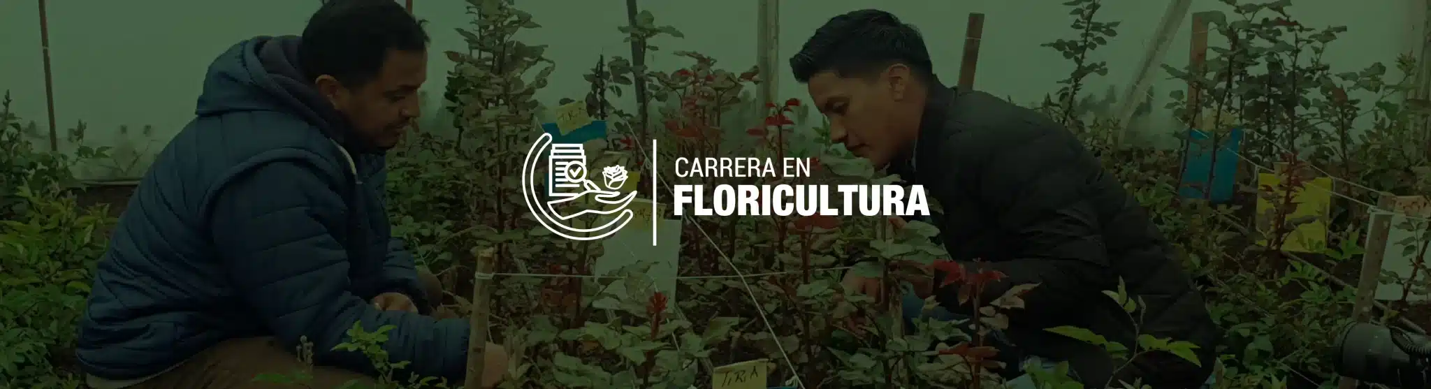 imagen de estudiantes de la carrera de floriculturaen una de nuestras empresas formadoras