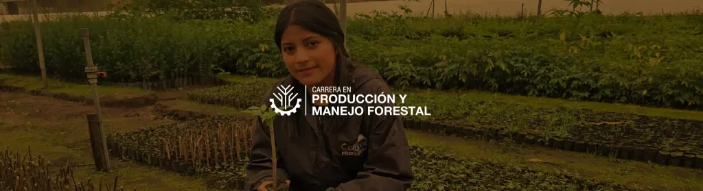 imagen de una estudiante de la carrera de producción y manejo Forestal en una de nuestras empresas formadoras