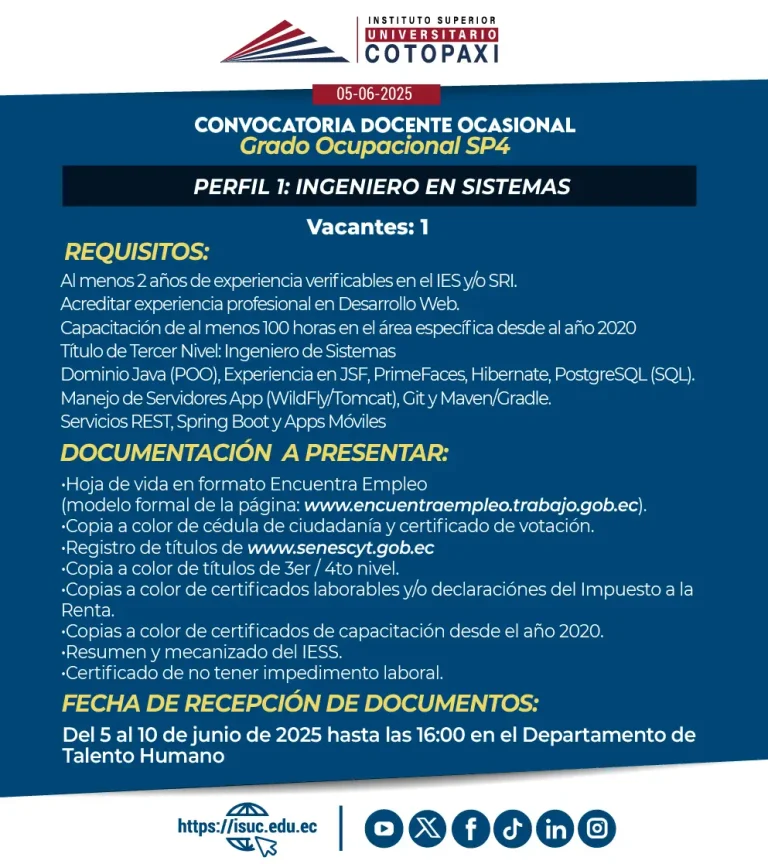 Ingeniero en Sistemas Perfil 01