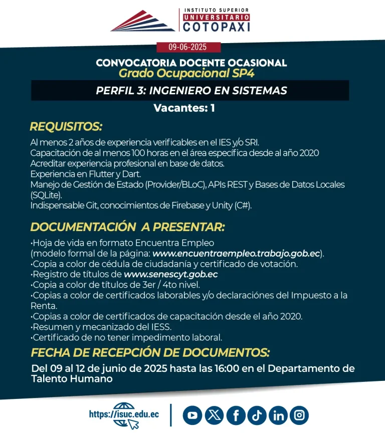 Ingeniero en Sistemas Perfil 033