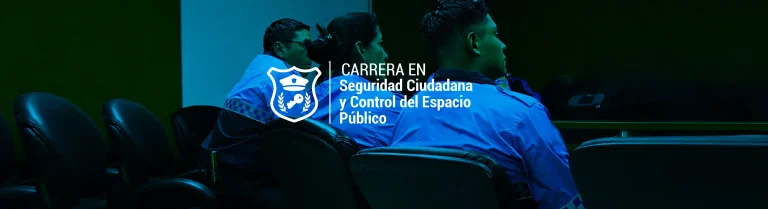 Seguridad ciudadana y control del espacio público