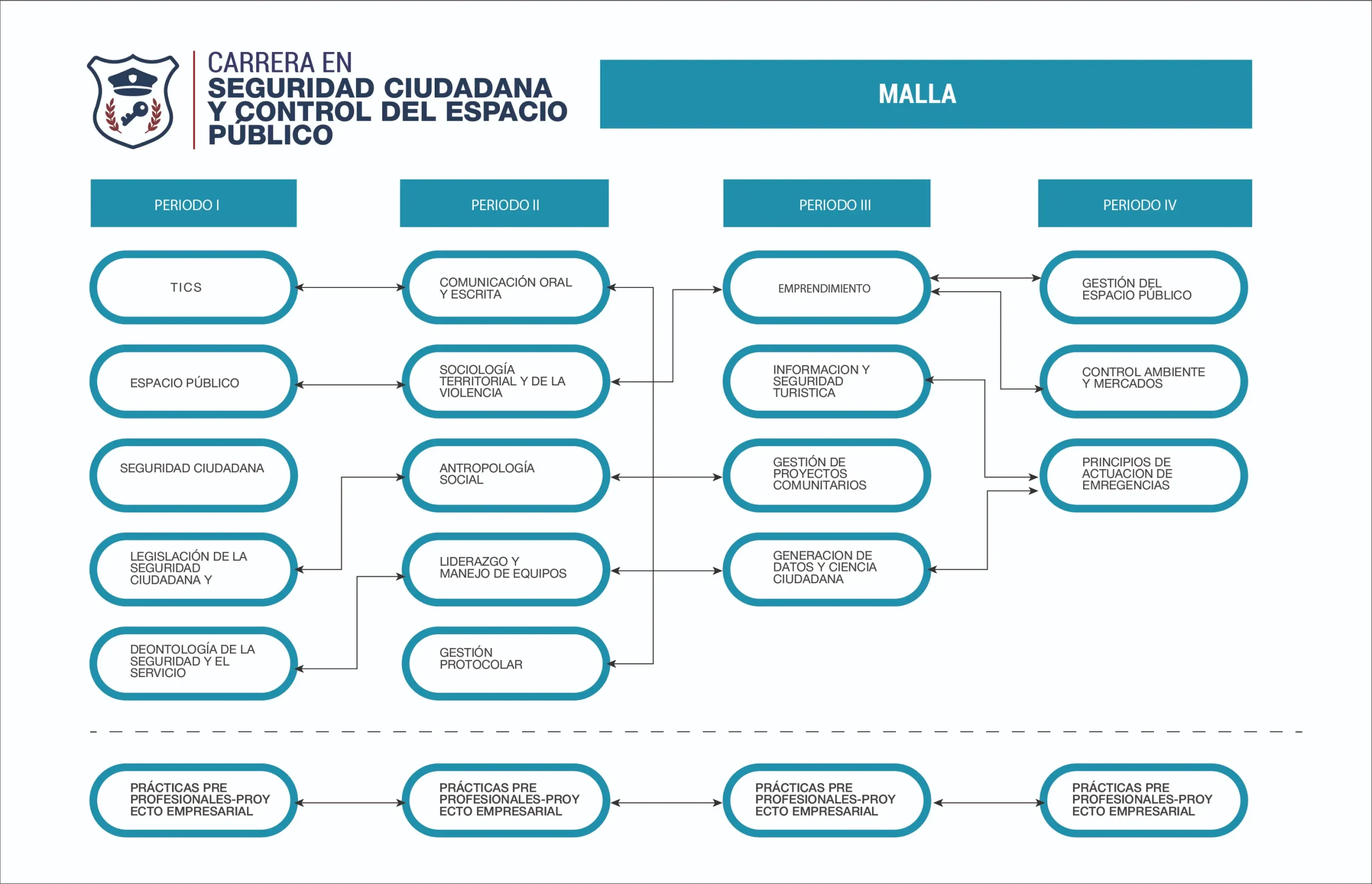 Malla Seguridad Ciudadana y Control del Espacio Público